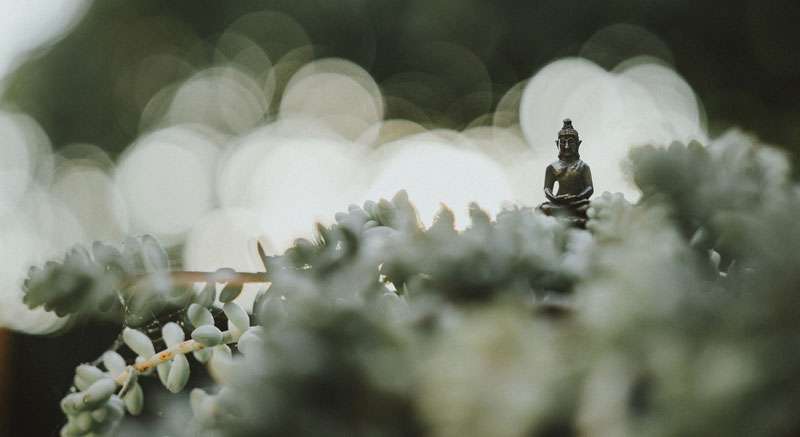 buddha statue meditating