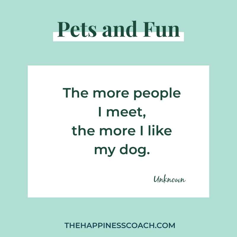 funny dog quote