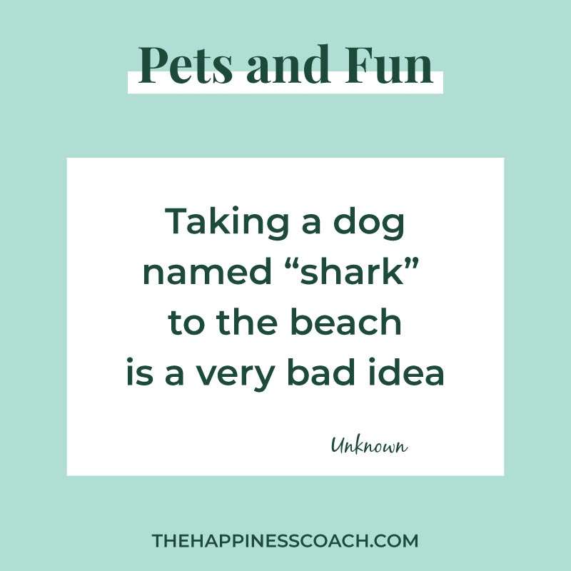 funny pet quote