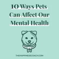 how pets affect our mental health
