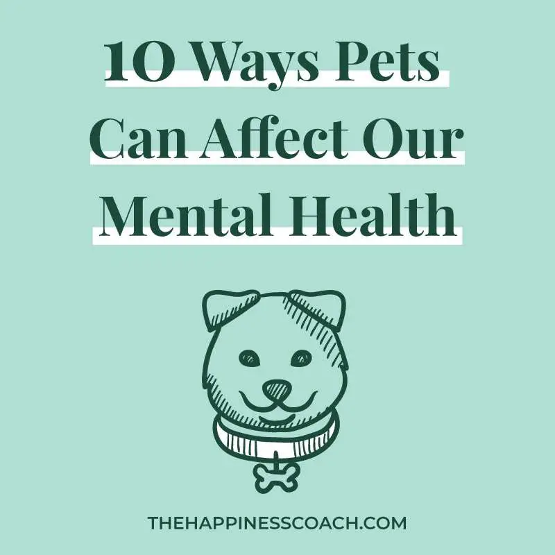 how pets affect our mental health
