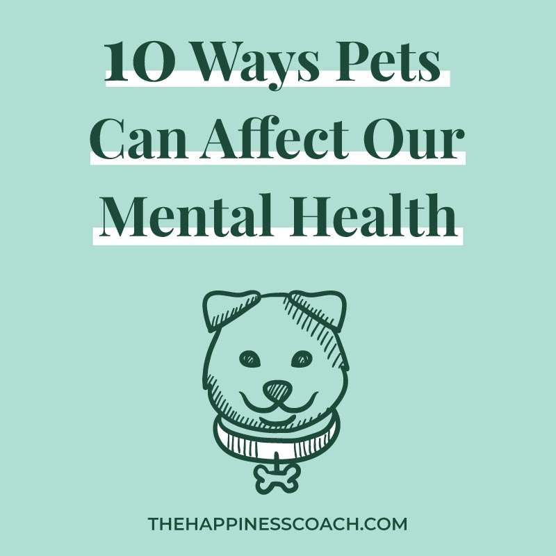 How pets affect our mental health