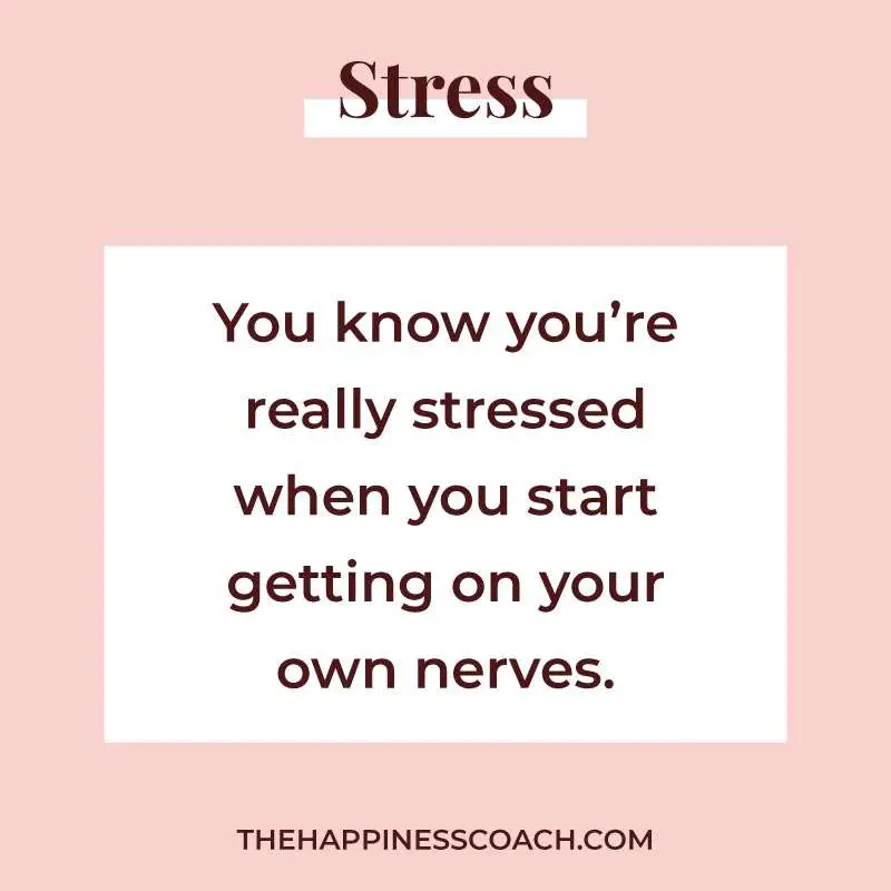 You know you're really stressed when you start getting on your own nerves.