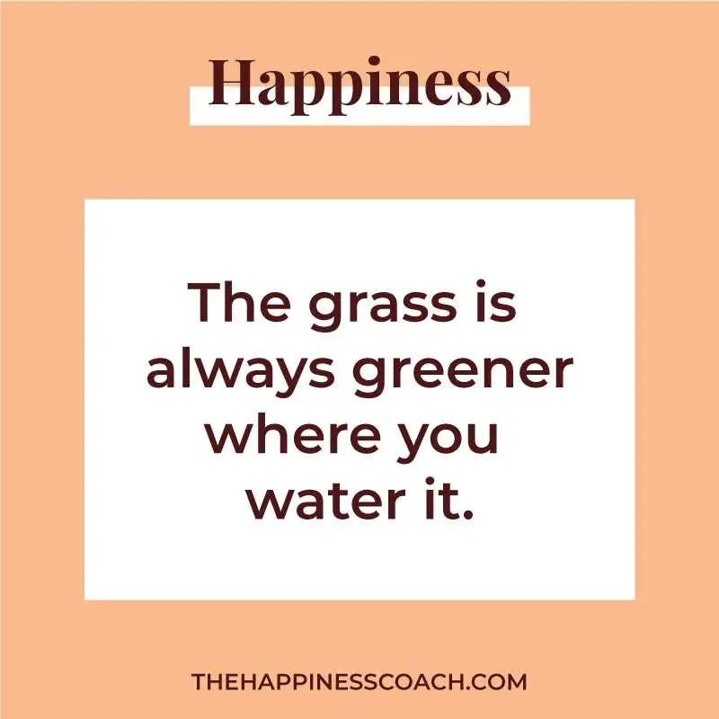 the grass is always greener where you water it.