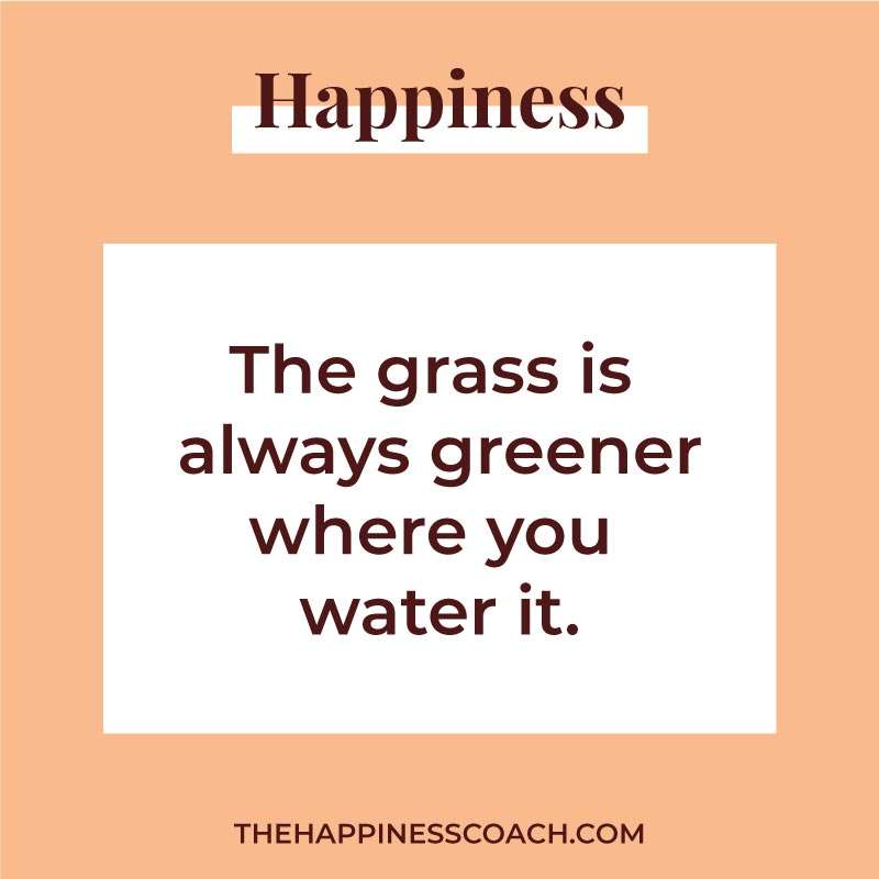 the grass is always greener where you water it.