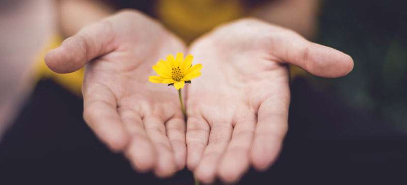 flower to meditate on the present moment