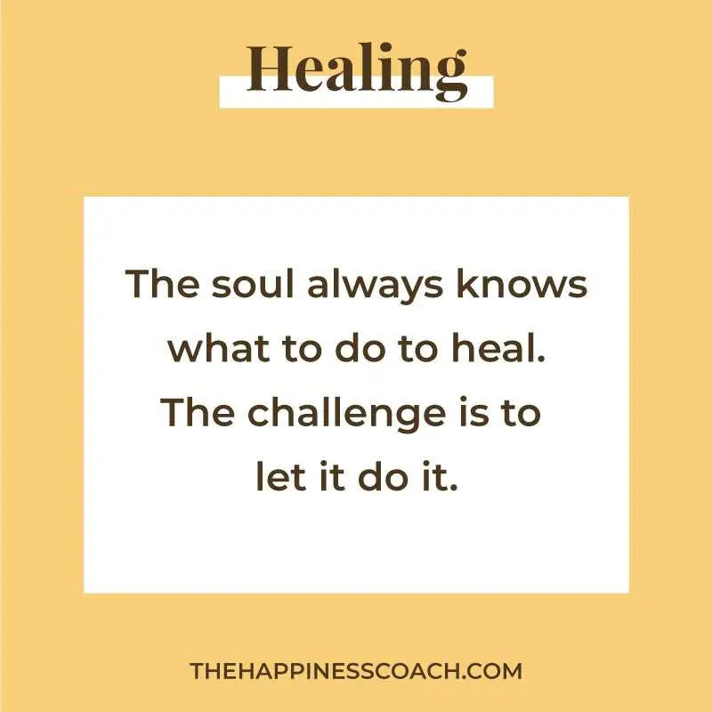the soul always knows what to do to heal. The challenge is to let it do it.
