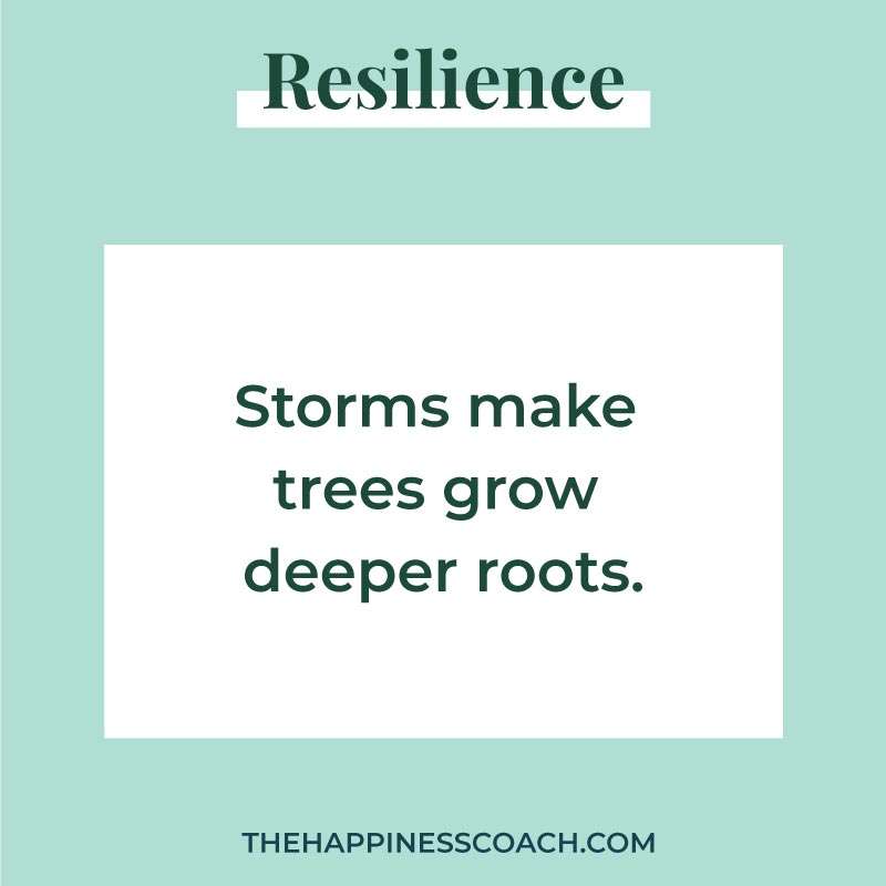 storms make trees grow deeper roots