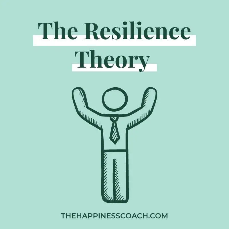 the resilience theory