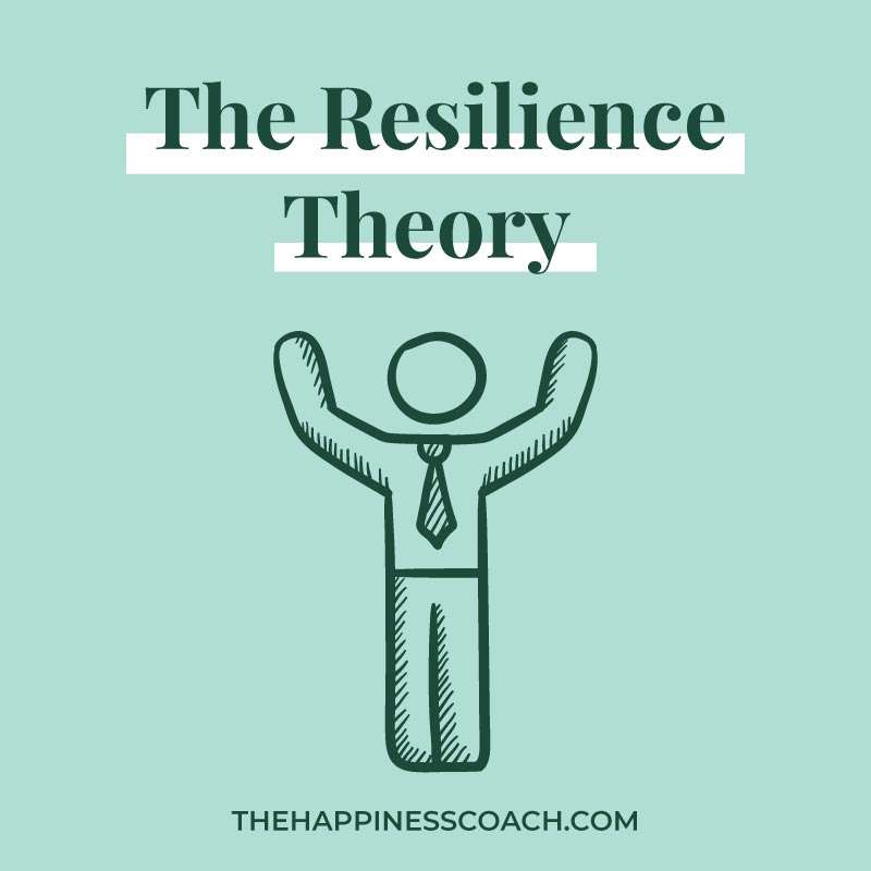 the resilience theory