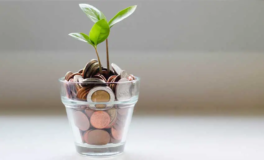 glass with coins and a plant
