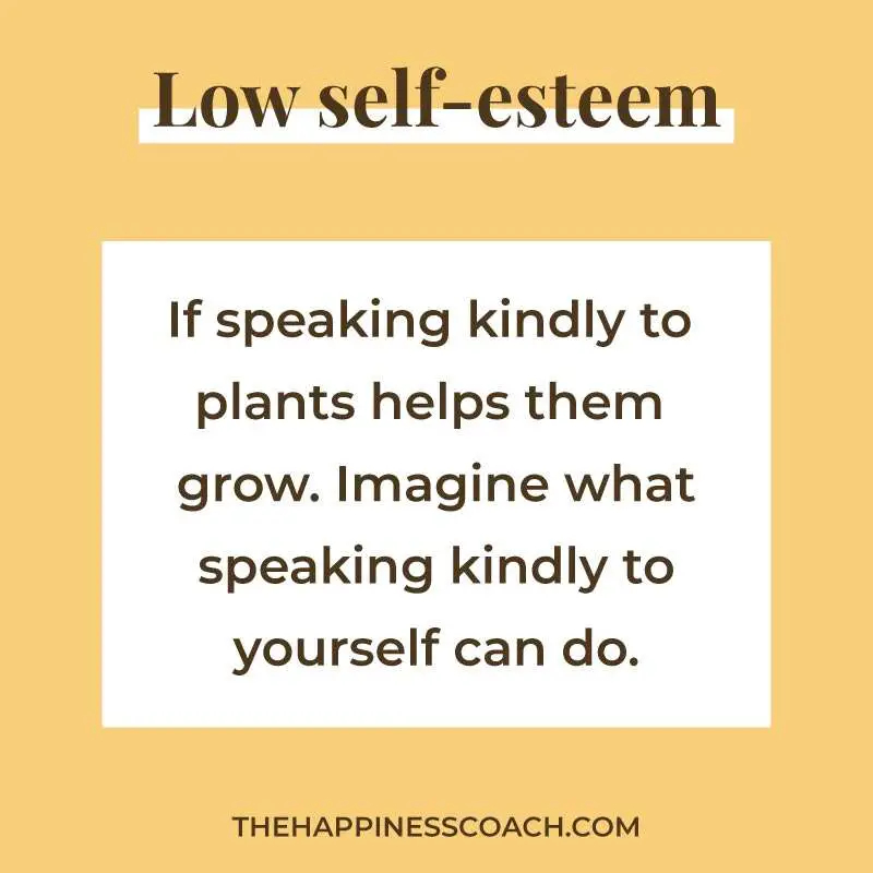 low self esteem quote 1 : “If speaking kindly to plants helps them grow. Imagine what speaking kindly to yourself can do.”